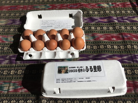 【加熱調理用】放し飼いの鶏が産んだ卵２０個入り