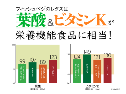 【FISH VEGGIES】フィッシュベジ季節のサラダセット 90g〜　化学肥料/農薬不使用だから安心して食べられる