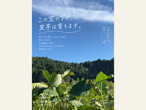 農薬・化学肥料不使用】七福耕舎の里芋 2kg（大・中・小サイズ混合