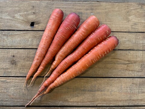 農薬・化学肥料不使用！リコピンいっぱい！赤色の京くれない人参5kg！