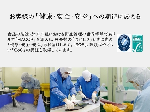 鹿児島産ぶり冷蔵 ぶり１尾 内臓処理済み 鹿児島県産 食べチョク 農家 漁師の産直ネット通販 旬の食材を生産者直送