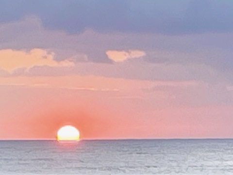 【北三陸田野畑産】　茹で水タコ　足約1kg