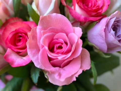 【20本の花束】ふんわりピンク&パープル🌹誕生日や結婚記念日のプレゼントに！シンプルラッピング