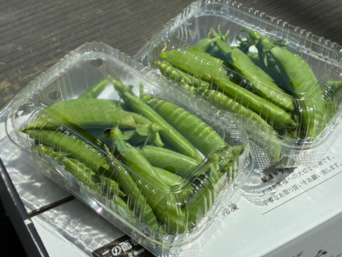甘味の強い固定種野菜！『スナップエンドウ』 (400g)