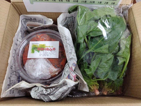 今シーズンラスト！農園野菜で作った『手作りキムチ！』500g