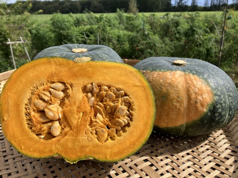 お得セット【中玉3玉＋超大玉1玉＝4玉】しっとり美味しいくりりん（7.5kg以上）