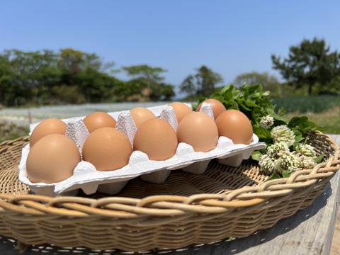 島根県離島海士町よりお届け、旬のお野菜と平飼いたまご10個セット🥬🥚Vegetables&Eggs
