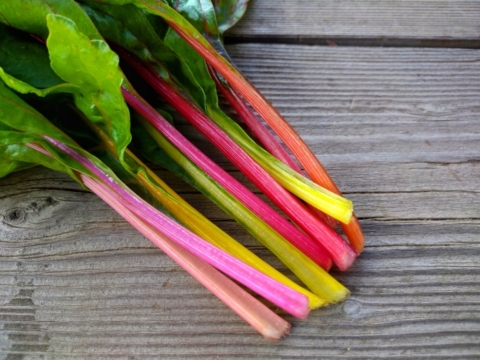 スイスチャード500g