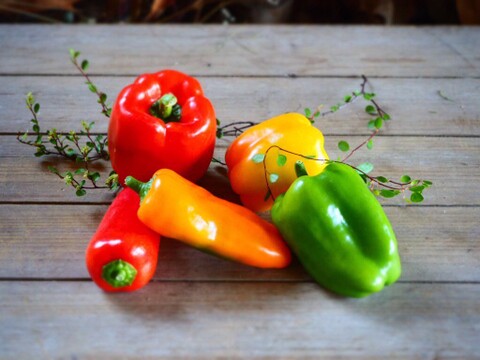 岡山県産　パプリカ1kg詰め合わせ