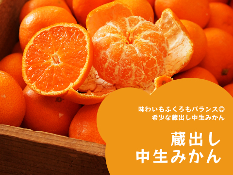 蔵出しみかん中生5kg｜和歌山県海南市下津町の特産品、蔵出しみかんの希少な中生品種