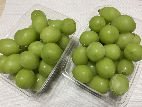 山梨県勝沼産 シャインマスカット 箱込み約5kg 6〜8房 家庭用 農家直送 勝沼産シャインマスカット1.5kg（粒）：山梨県産のシャインマスカット