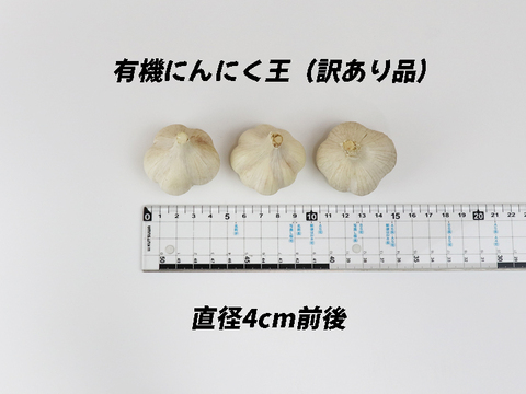 【宮崎県産】 有機にんにく王（訳あり品500g入)