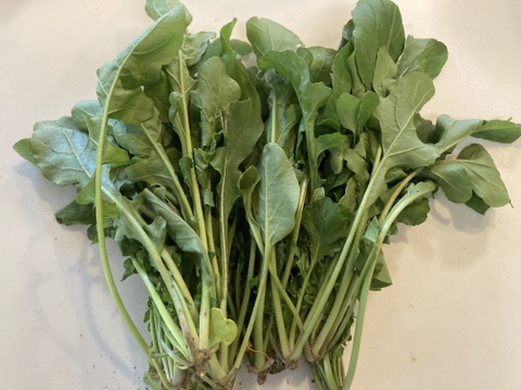 【ルッコラ】屋久島産　完全農薬不使用　300g