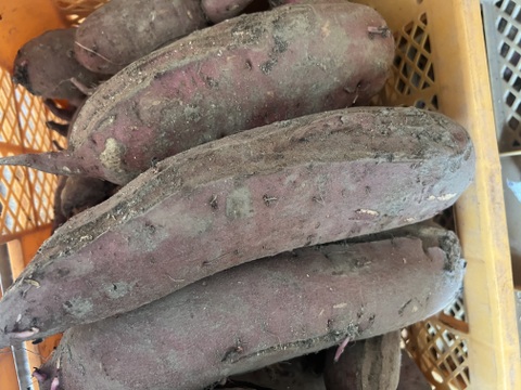 【訳あり】有機JAS認証さつまいも2kg