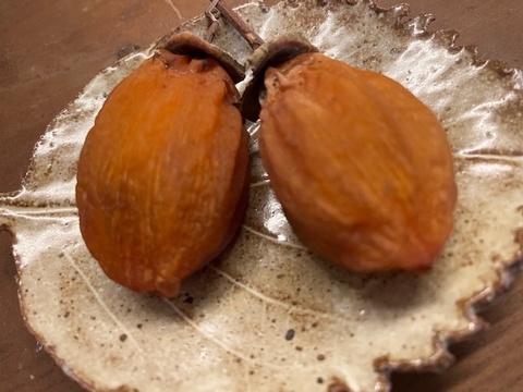 【干し柿用枝付き西条柿】農薬・肥料不使用、自然栽培の渋柿。自然な甘さの西条柿。干し柿に。完熟でそのまま食べても美味。大小不揃い。約１．７キロ（枝付き・干し柿専用紐付き）