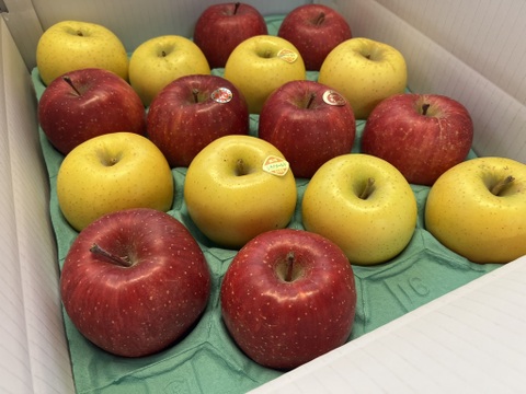 【予約販売】完熟　サンふじ＆シナノゴールドの詰め合わせセット 約5kg(13～20個)