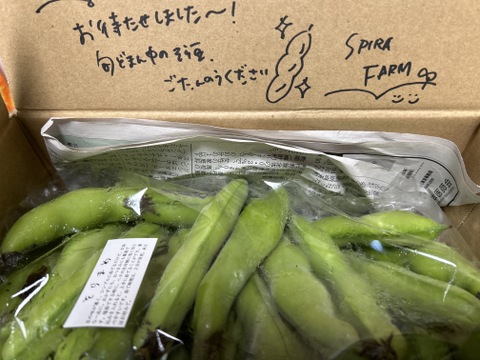 1.2kg【本日発送可能！うれしい増量中！】朝採れ確約！ホクッと甘くておいしい旬の味♪そら豆（約1.2kg）