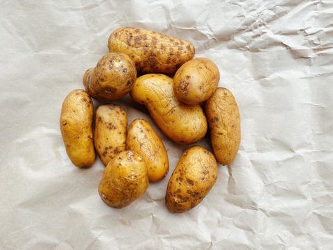 【味が濃い！】夏を越して味がぎゅっと詰まったジャガイモ・メークイン★3kg【農薬も化学肥料不使用】