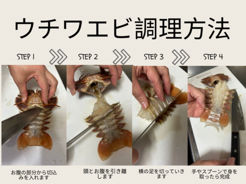 うちわえび 500g