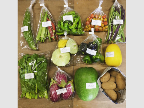 【無農薬】採れたての旬の野菜 Lセット(8-10品目入り)