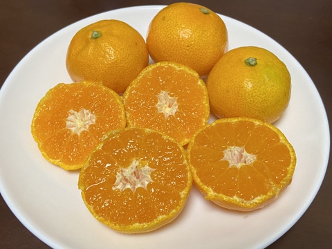 【予約販売】ご家庭用・今が旬！果汁たっぷり早生みかん(2sサイズ・5㎏)