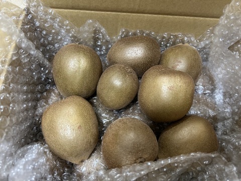 【新品種】国産ゴールドキウイ！『東京ゴールド』2キロ