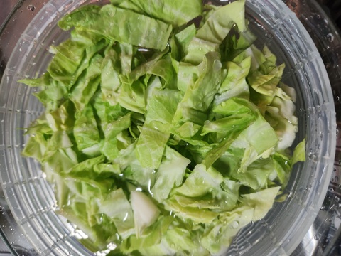 柔らか～い！【春ひかり7号】春キャベツ 3個セット