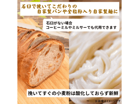 ネバ玄粒 玄小麦 中力系 20kg 5kg×4 青森県産単一品「ネバリゴシ」100％使用 日本の小麦 国産小麦 国産玄粒