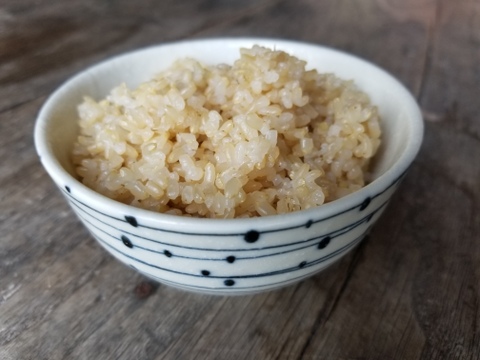 令和3年産　特別栽培米ミルキークイーン　玄米2kg