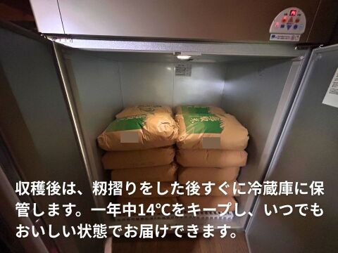 鳥取の清流育ち　令和7年産新米【星空舞】5kg｜冷蔵保存で鮮度抜群！