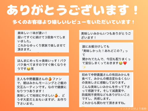 弾ける果汁！濃厚！有田みかん 10kg 和歌山産