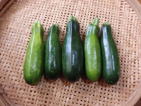 【自然栽培】ズッキーニ（お徳用1.2kg）