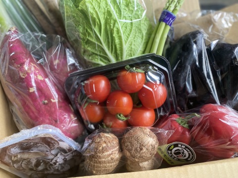 新米5キロと採りたて野菜5品セット（本州の方限定）