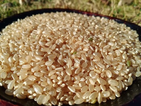 清流のめぐみ！熊本南阿蘇産、農薬化学肥料不使用ヒノヒカリ玄米5kg