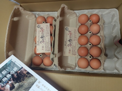 [ご新規様限定]平飼い　生卵20個入り
生卵が食べたくても食べれないご新規様お試し半額❗️〜こってり卵にさようなら〜
