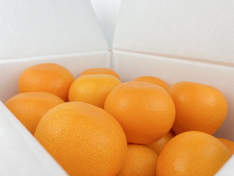 これぞまさに！【柑橘の大トロ👑】果汁溢れる💓ハウスせとか”ドルチェみかんシリーズ”✨箱込5kg✨