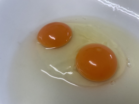 💎幻の初卵の双子かも！？💎＼期間・数量限定／平飼いごちそう卵【あかねの虜】高確率で双子の可能性！卵（20個入）【👑大手検索サイト「福岡 卵」表示ランキング１位の農場です👑】