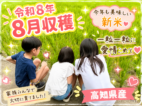 🌟40袋限定🌟令和8年8月収穫新米❣高知産コシヒカリ🌾玄米30kg✨ 節減