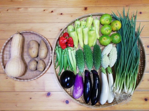 【農薬化学肥料不使用】ミカン入り野菜セット【８種類以上の野菜】【金曜日発送】【熨斗(のし)対応可】【８０サイズ箱】