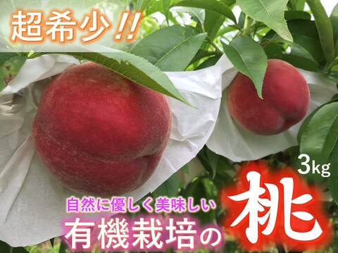 【有機栽培の美味しい桃『日川白鳳』約3kg】自然に優しく希少でジューシーな天然桃(9～11個入)！
