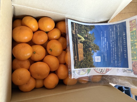 【甘み＆食べやすさ】の二刀流！西果樹園みかんの代表格！西幸みかん【早生みかん５キロ】