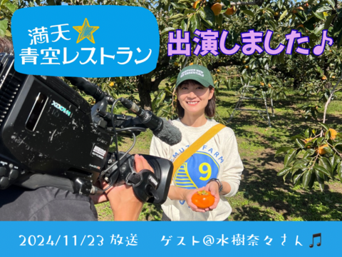 【満天☆青空レストラン出演！】【しっかり大きい5玉入・お試しサイズ】濃厚な甘み！石和の富有柿！（種なし・ご家庭用・1.2kg）