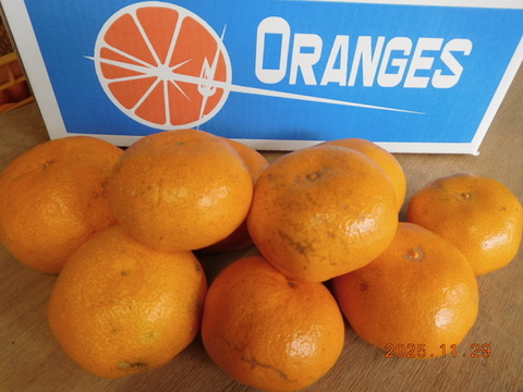 😊〈規格外〉price　伊豆産 今が旬！早生温州みかん   　　　 風袋込み約5.0㎏