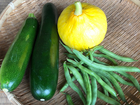 季節のお野菜お一人さまセット 3種類