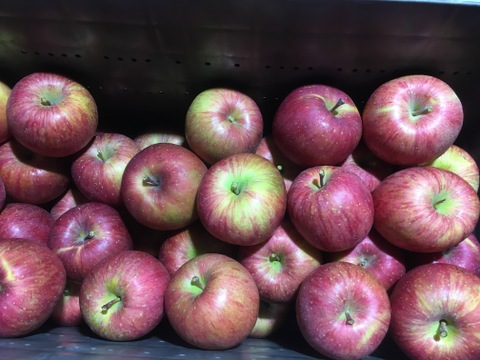 【先行予約】　\ 家庭用 /　サンふじ 5ｋｇ　青森県産りんご