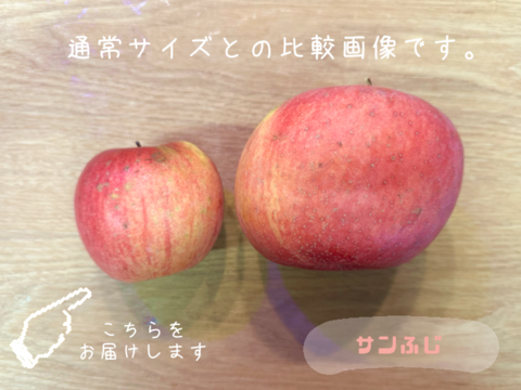 【冬季限定⛄】訳あり小玉りんご🍎家庭用3kg【スーパームーンりんご1個付き】