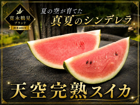 【最高糖度15度超え】夏のほんのわずかな期間しか手に入らない🍉天空栽培が生んだ唯一無二の果実『天空完熟スイカ』🍉寛永鶴見ブランド【朝どれ】【限定50玉】【7月中旬予約】