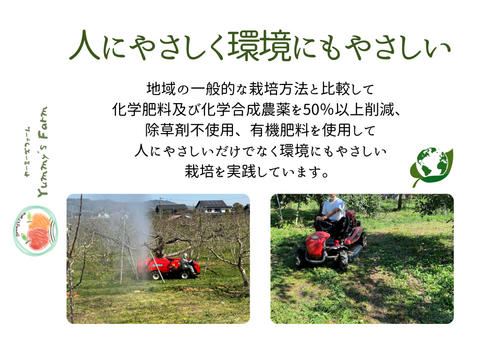 もぎたて 即日発送 りんご サンふじ 訳あり 家庭用 5kg 長野県産 信州りんご発祥の地 産地直送 除草剤不使用 人にやさしく環境にもやさしい