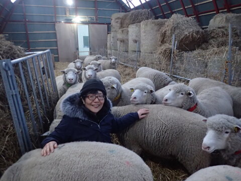 北海道産の羊肉ベーコン１５０ｇと羊乳ブルーチーズ２４０ｇ
