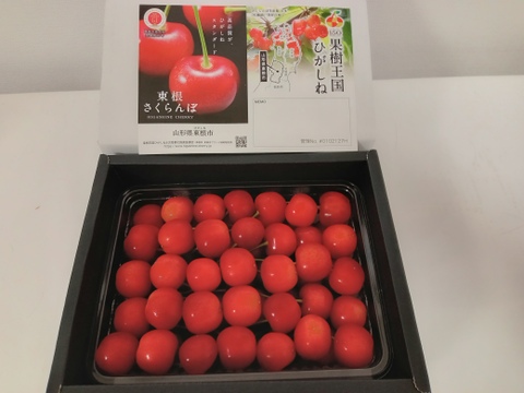 【贈答、プレゼント用】数量限定‼︎手詰め‼︎佐藤錦発祥の地。山形県東根産佐藤錦